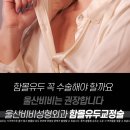 울산비비성형외과의원 네이버블로그
