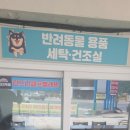 제천빨래방 이미지