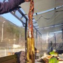 캠핑포유펜션 이미지