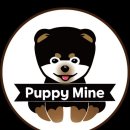 퍼피마인 이미지