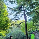 평곡1리 이미지