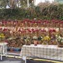 난정초등학교 이미지