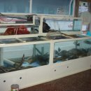 바다잔치 이미지