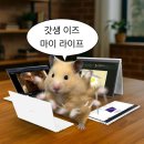 695 | [MBA 준비] GMAT 학원 이론반 수강 후기 (모의시험 485 -> 695)