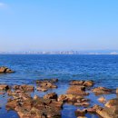 호미반도해안둘레길 이미지