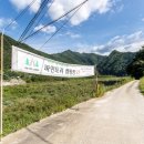 개미들솔향기야영장 이미지