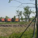 낙동강체육공원 족구장 이미지