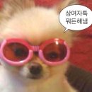 [25.03.05~25.03.07]캐나다 워홀러의 현실_2(은행 계좌 개설, 헬스케어서비스 신청)