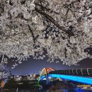 국제통닭 청학점 이미지