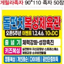 돌펀치복싱체육관