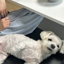 원미구 길주로 267 이미지