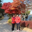 경주중학교 이미지