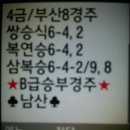 마탄비