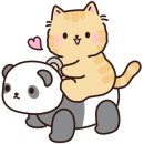 튼튼푸드랩 이미지