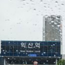 대일통닭 이미지