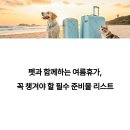 도그런 | 펫과 함께하는 여름휴가, 꼭 챙겨야 할 필수 준비물 리스트