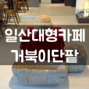 일산 대형카페 거북이 단팥 후기