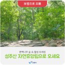 제천푸른솔산악회/보령 죽도상화원/성주산 자연휴양림 편백나무숲길걷기 기행계획 이미지
