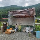 아날로거 무릉도원점 이미지