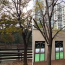 용이금호어울림 2단지 201동 이미지