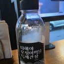 [인천 부평] 부평역 먹자골목 이색 횟집 맥염 홍시 연잎 숙성 제철 특선 꼬치고기 청어 빛멸치튀김...