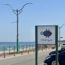 거북애견 | 양양 바다 바로 앞 양양수제버거 맛집 ‘거북이서프바’ 솔직 후기 | 양양 맛집 남애항맛집 추천