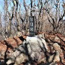 상대리[서] Daum카페