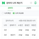 올치동물병원 이미지