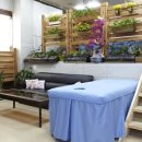 정규동의 웰빙건강 이미지