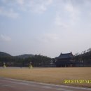 부여고등학교 Daum카페