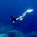 울릉다이버리조트 이미지