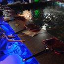 뚜루실내낚시놀이터 이미지