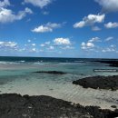 Miss 멍 | 제주도 3박 4일 무계획 여자 혼자여행 Day3