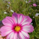 우리 동네 이야기 12 이미지