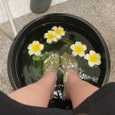 인천서구 에스테틱 ‘유소현 에스테틱 앤 왁싱’｜윤곽관리·아로마·두피관리로 힐링한 날🌿