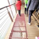 (221103)경수산악회 충북 단양 잔도길, 만천하스카이워크 및 도담삼봉, 제천 청풍문화재단지 관광 트레킹