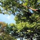 지영국궁장 이미지