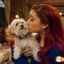 빨간머리 이미지