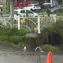 준초이짐 | 19장. 바쁘게 살자