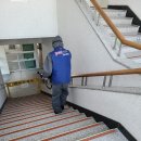 가동초등학교 이미지