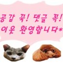 봉암동205 이미지