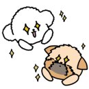 속초해풍