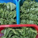 수유 감탄 숯불닭갈비 이미지