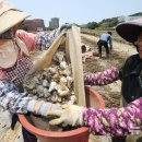 한경체육관 이미지