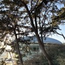 해운대석각 | 부산여행 해운대 동백섬 개화 주차장 누리마루 APEC 동백공원