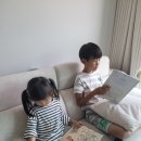5살 첫 속담공부 키큰도토리 이야기속담그림책 스토리텔링으로 시작하는 이유