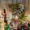 경로식당 | [창원/진해] 진해 군항제 벚꽃축제 2025 방문 후기 서울에서 창원 진해 1박 2일 추천 경로 식당 카페