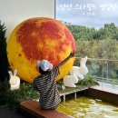 아쿠아워시서동점 | 경기도 안성 스타필드 아쿠아필드 찜질방 추천 가볼만한곳