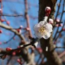 명월돌집 민박 이미지