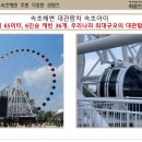 스테이 하운드 이미지